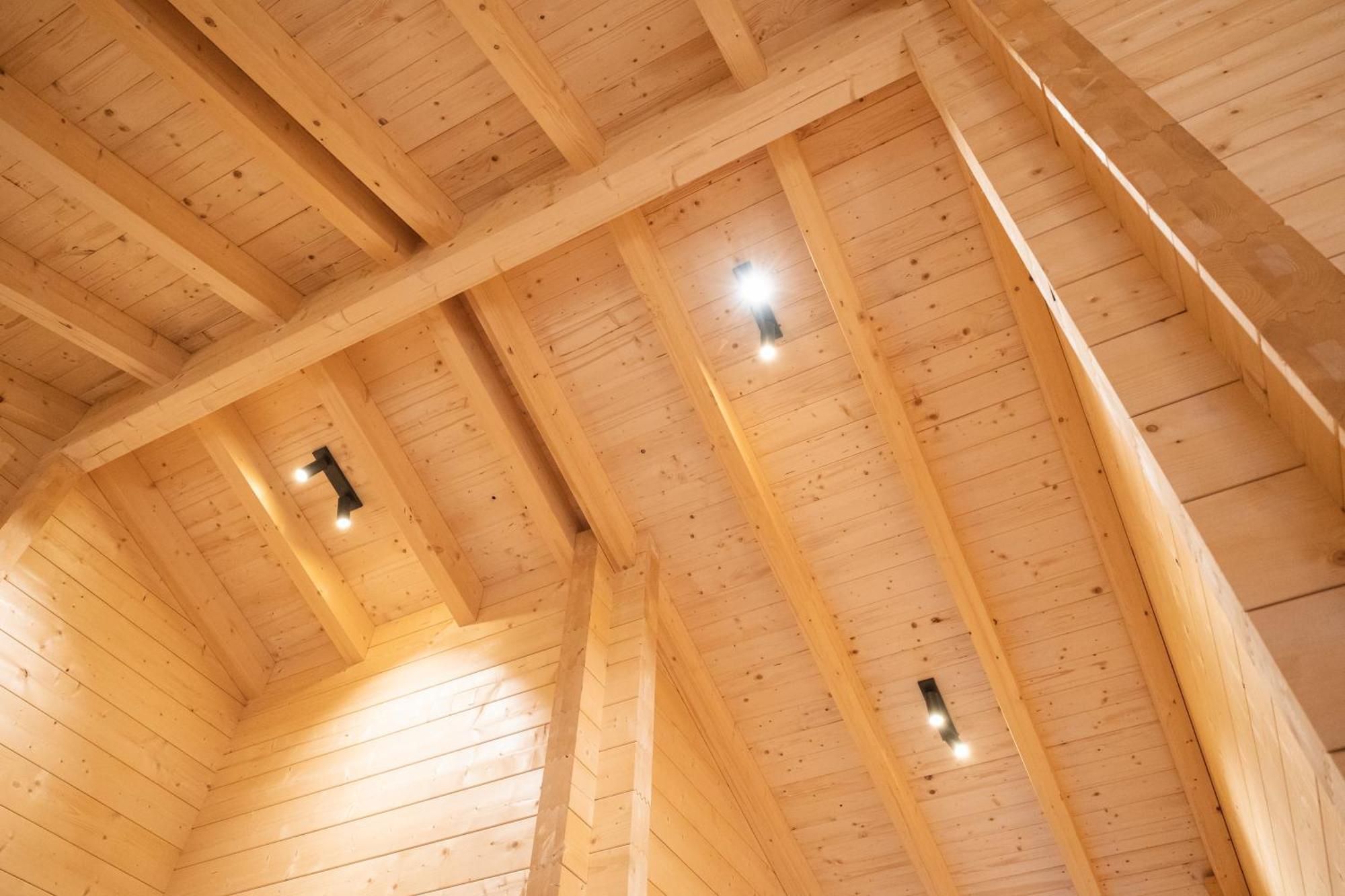 Netten Naturerlebnis Holz-Chalets Даун Екстериор снимка